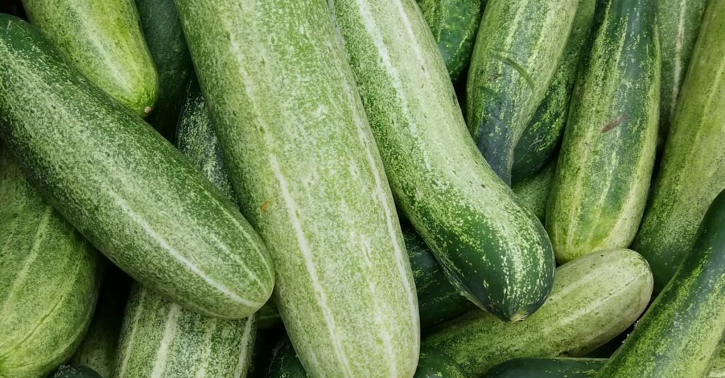 Kheera (Benefits of Eating Cucumber)