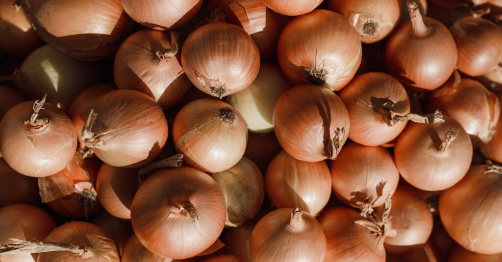  Onions: Onions for better health and well-being.