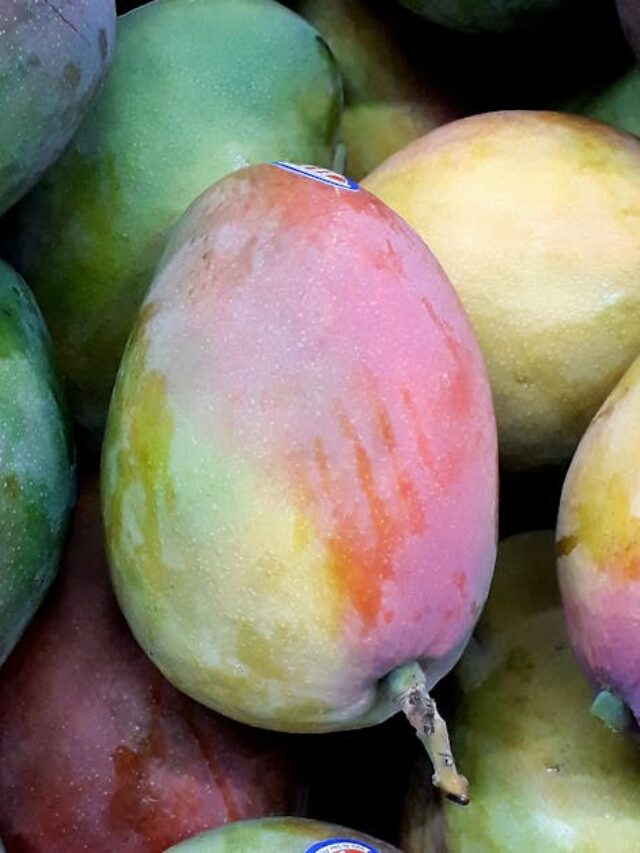गर्मियों में बनाएं 5 आसान और हेल्दी आम की रेसिपीज़ 🍹🥭