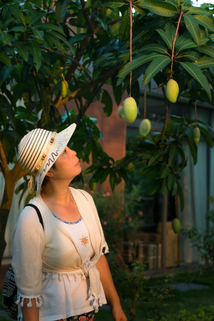 आम (Mango): गर्मियों में आम खाने के 7फायदे: