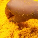 20 Proven Health Benefits of Turmeric for Men and Women-